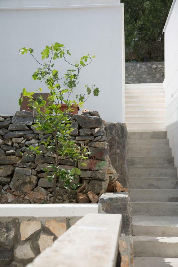 Casa Blanca White House Villa Donji Okrug  Exterior photo
